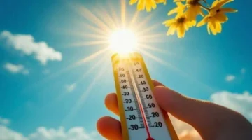 حالة الطقس غداً في القاهرة والمحافظات: مائل للحرارة مع فرص تراجع في درجات الحرارة مساءً